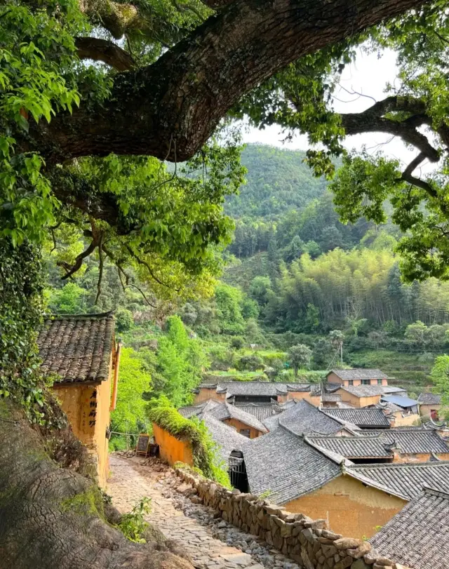 หมู่บ้านหยางเจียถัง | สถานที่ลับสุดยอดในเซาท์แจียงของ National Geographic | สถานที่ถ่ายทำที่งดงามอย่างยิ่ง