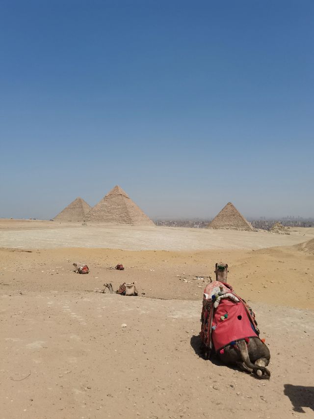 我看誰還沒看過這份埃及旅遊攻略