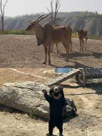 蘭州五一去哪裡玩？——蘭州野生動物園
