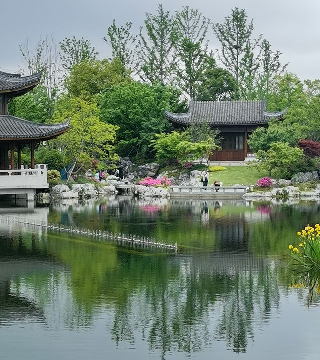 上海老姐姐的拍照聖地——申園