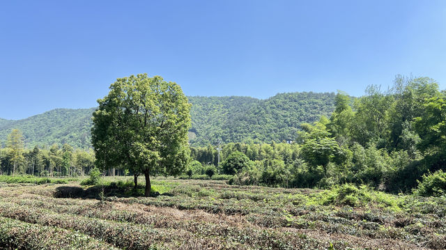 川步村，徒步旅行必打卡地