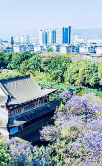 反向旅遊日記《開遠·3》