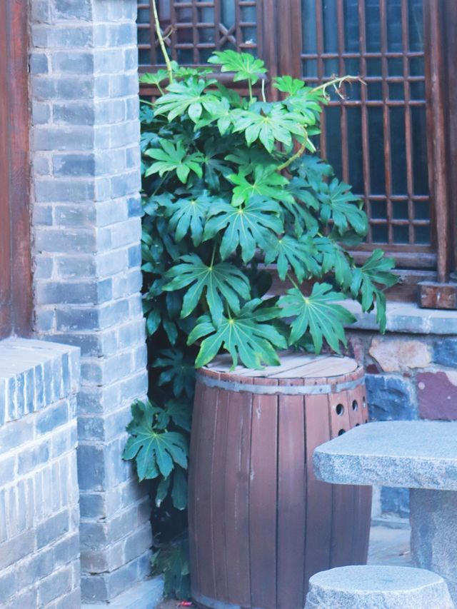 河南 | 郑州電影小鎮最全攻略，建議收藏