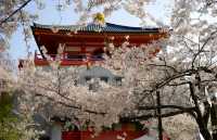 大阪出發和歌山一日遊，路線推薦~收藏。