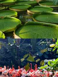 廣州湛江溜娃旅遊攻略來啦！帶你玩轉 8 個清涼好去處