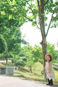 長沙夏天也能賞花這3個地方能遛娃還出片
