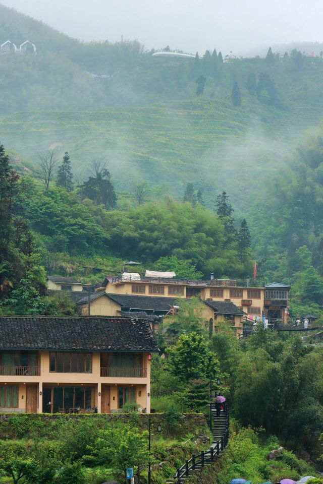 中國最美梯田 云和梯田 中國最美梯田 云和梯田