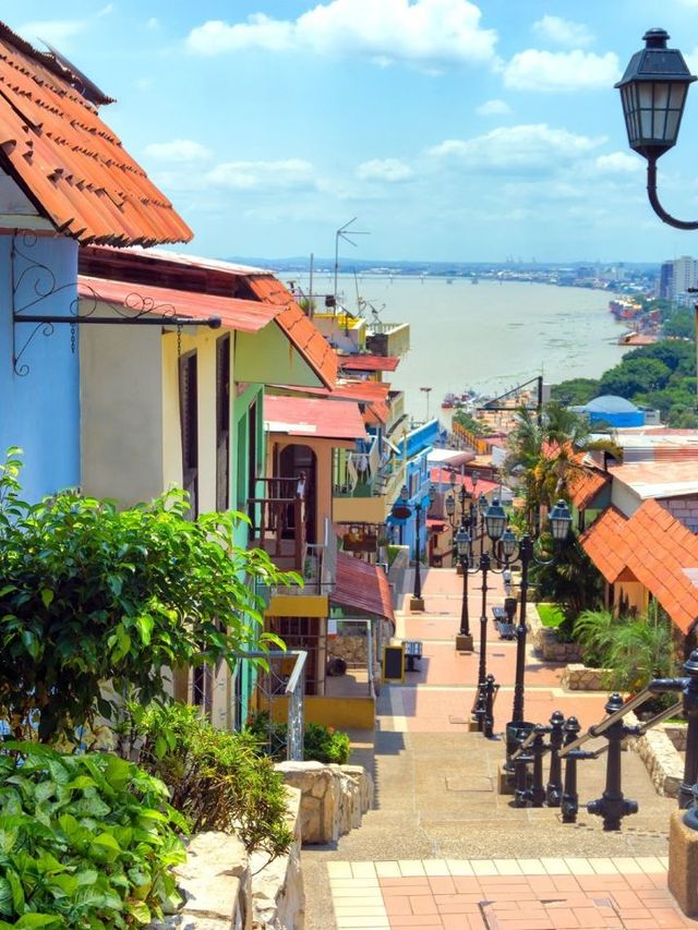 🌟 Guayaquil Getaway: Sheraton's Stellar Stay 🌟