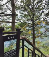 別錯過！南陽出發，西峽老界嶺夏季避暑全攻略！