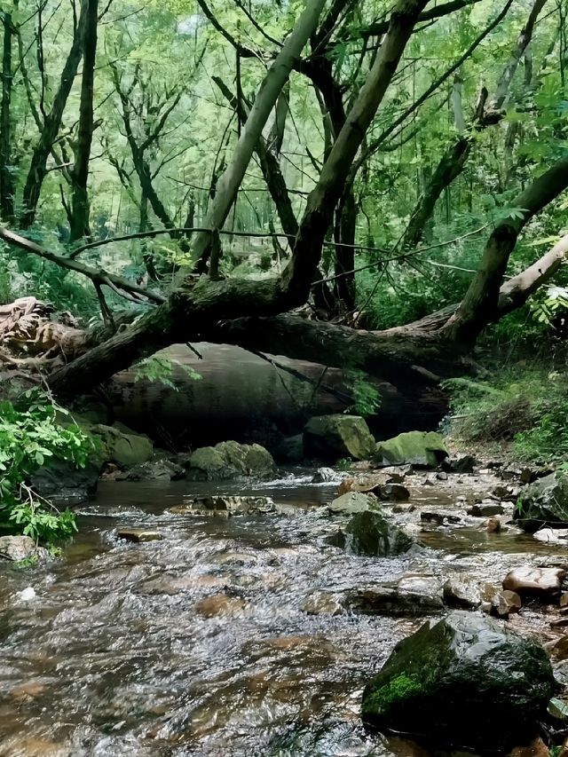 無錫出發1h，週末來銅官山溯溪徒步！