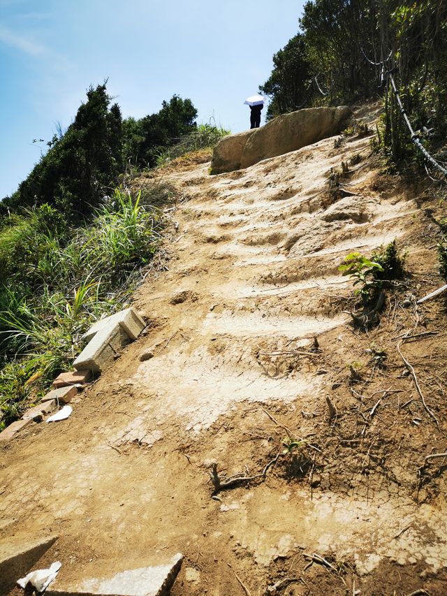 爆熱39° 天   勇爬旗冠頂