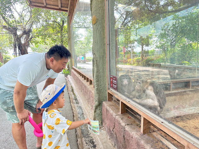 九月錯峰去平南雄森動物大世界體驗包場的快樂