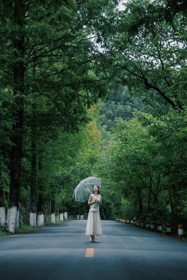 一億人在新疆，獨我在留壩享受22­°C的野夏！