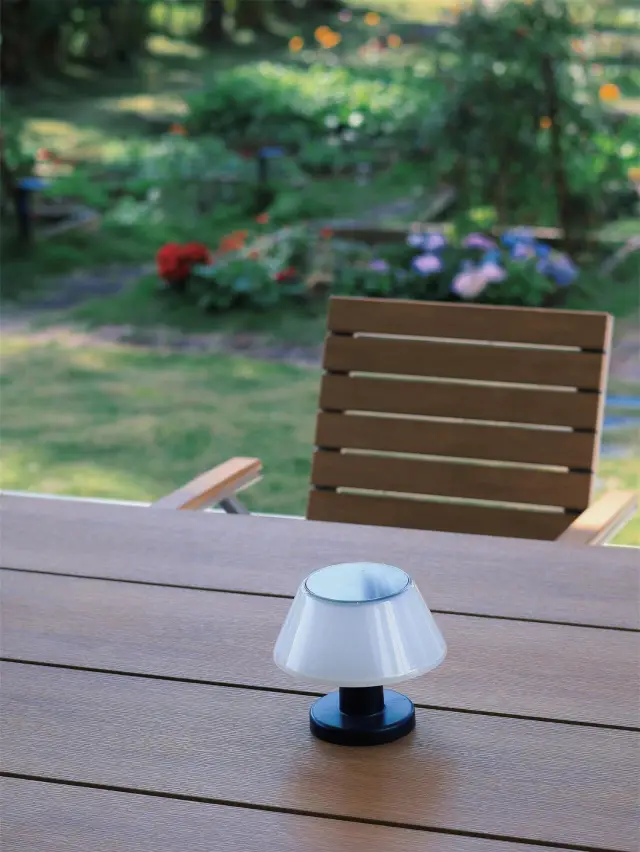 Would you travel for a window?