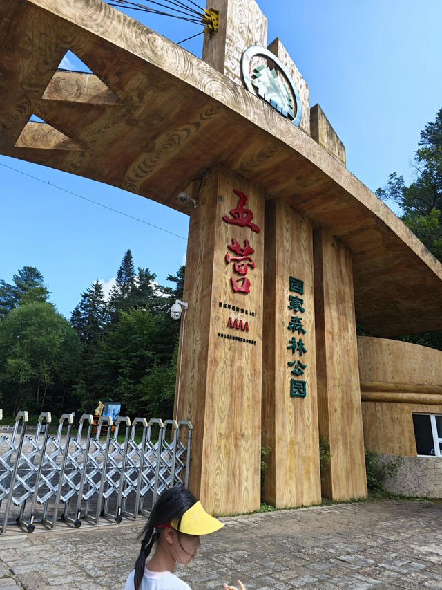 人均800三天两晚，带你畅玩伊春