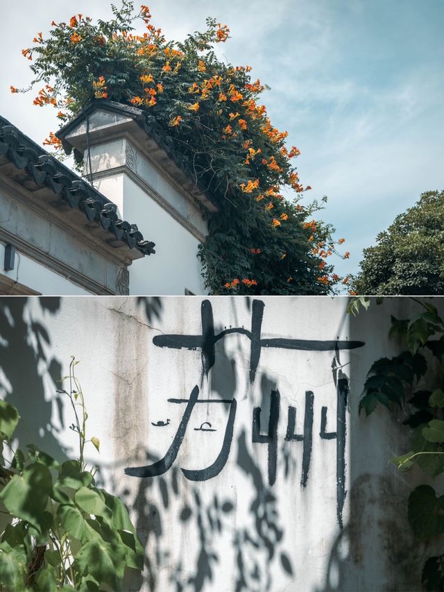 碼住那些你不知道的蘇州小眾旅遊路線