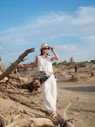 Alashan Ghost Forest, taking photos with the withered Populus euphratica trees