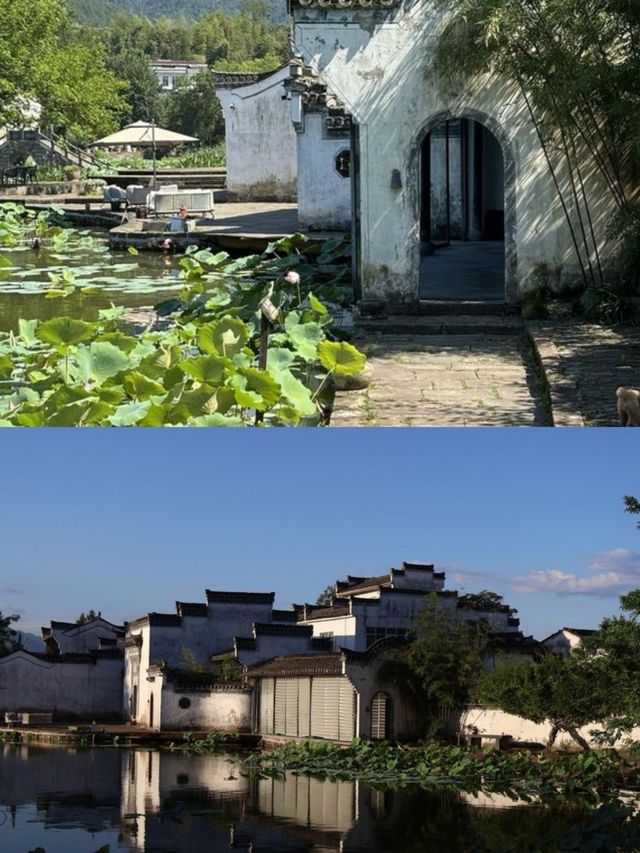 住進徽州荷畔最美徽宅酒店|黃山·澍德堂酒店