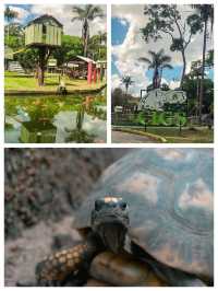 巴西瑪瑙斯動物園深入亞馬遜雨林探險