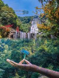 人生建議：夏天一定要去清遠古龍峽玩！