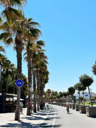 A ride to remember • Exploring Valencia’s beach on bikes!