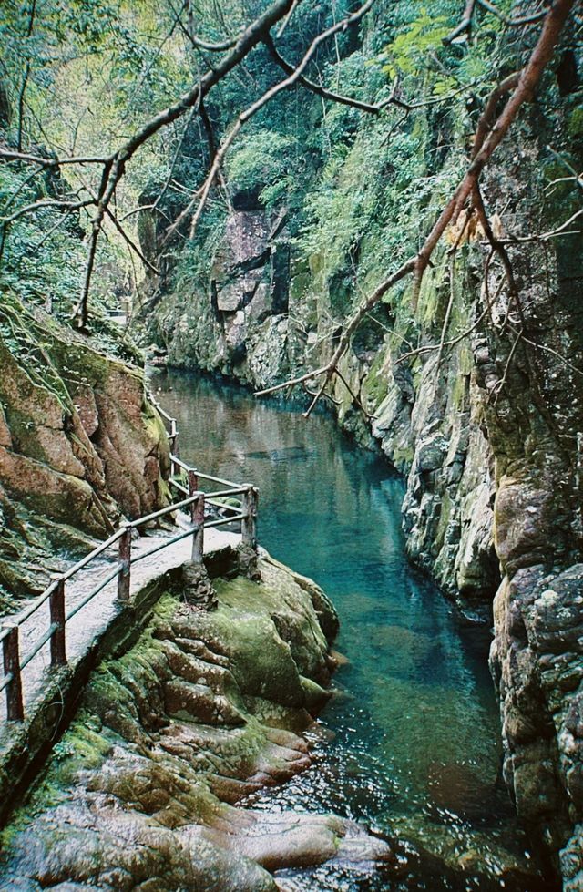 福州永泰一日遊丨見山雲瀑布真真天然氧吧