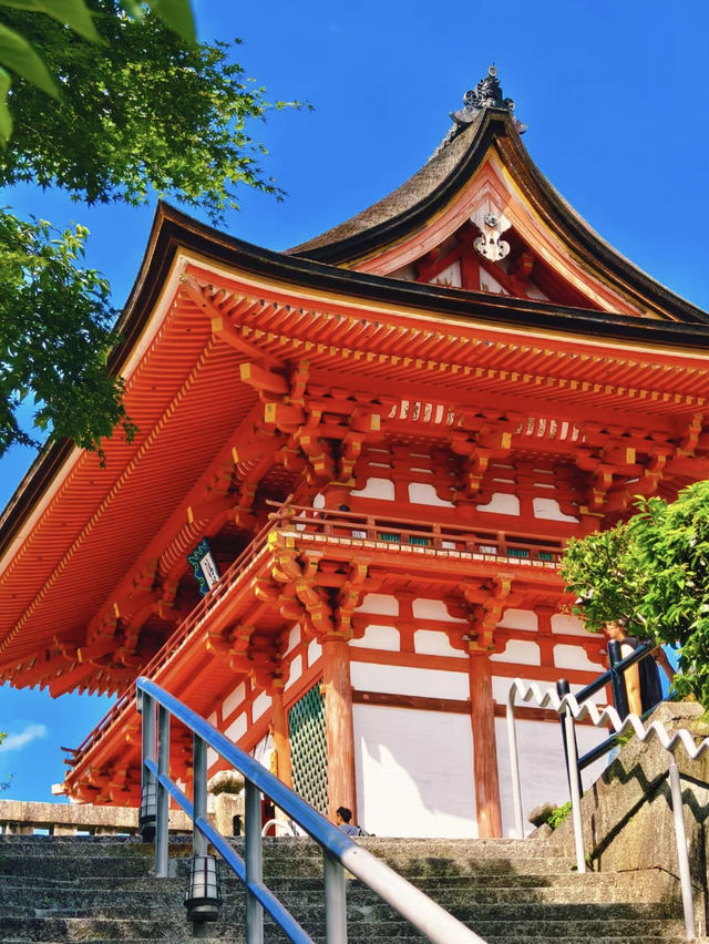 京都3日游：神秘寺廟與美麗景點🏯✨