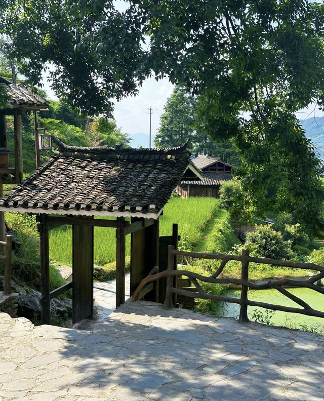 堂安侗寨 雲端梯田