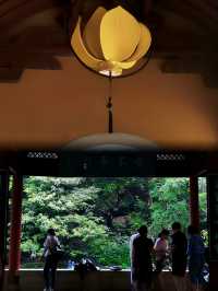 跟著《黑神話：悟空》打卡杭州“靈隱寺”！