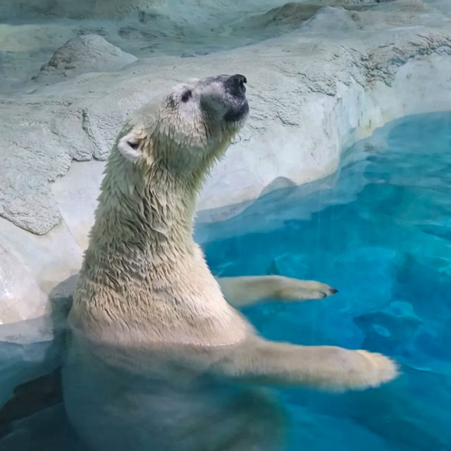 Aquarium in Zhuhai China