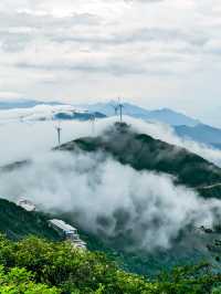每次登山都能遇到雲海。