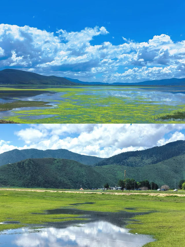 納帕海依拉草原。