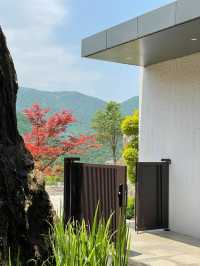 大隱半山東方山下新開茶園美宿。