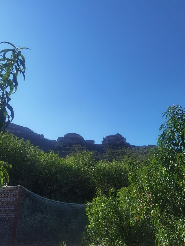 平邑縣曾子山。