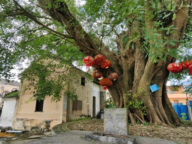 廣西武宣雅岗村郭松年莊園。