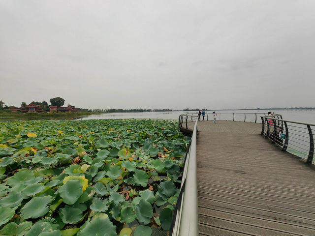 反向旅遊，我真的太會選了成都周邊遊，絕美風景不擁擠。