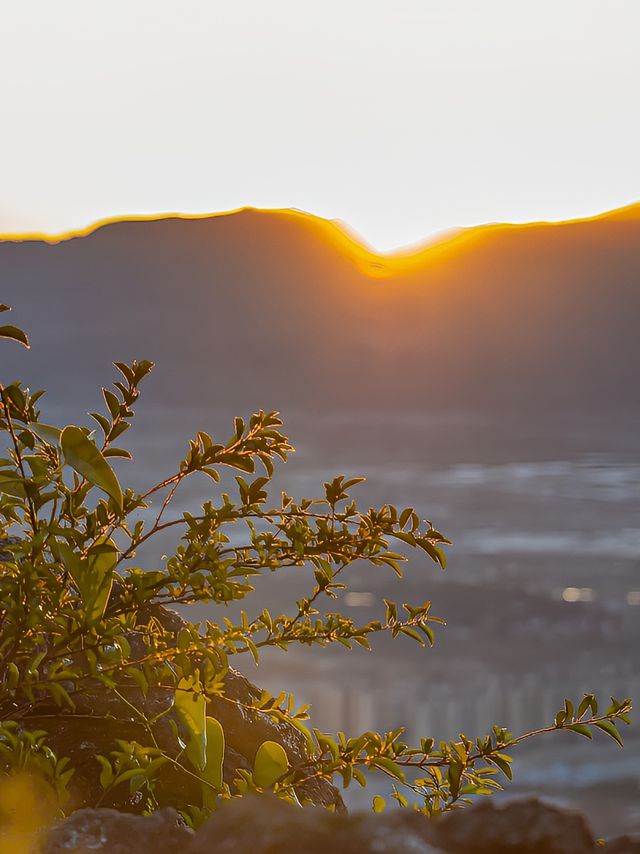 雲南哀牢山走紅！部分區域已被開發成景區。