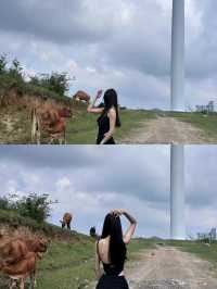 江西人自己的瑞士花園｜比武功山更美值得一遊。