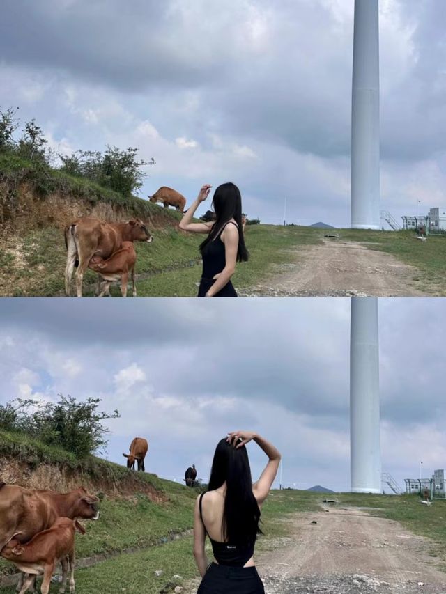 江西人自己的瑞士花園｜比武功山更美值得一遊。