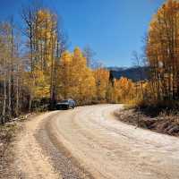 Colorado Fall Colors 
