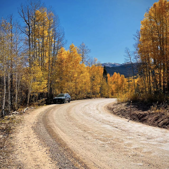 Colorado Fall Colors 