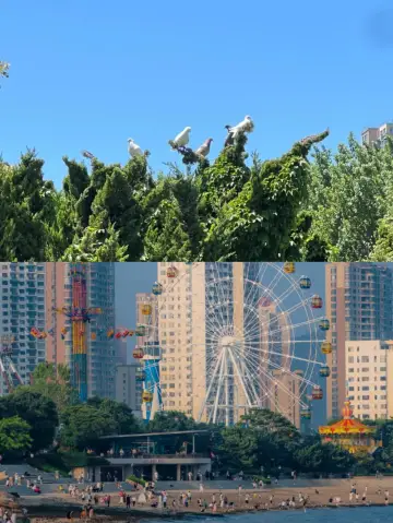 Travel Guide to Xinghai Park.