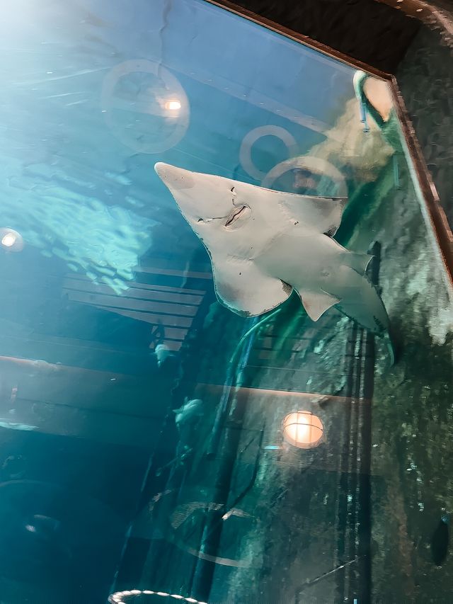 德班之旅，難忘的旅程。