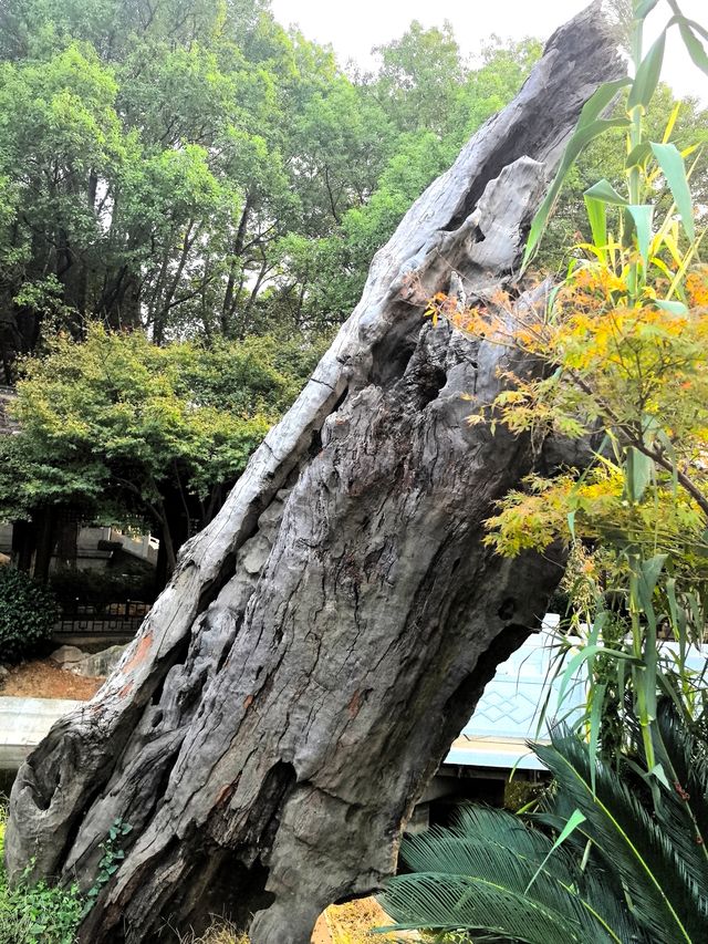 繩金塔。