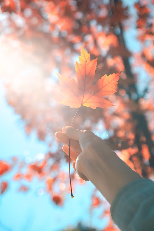 陝西漢中｜不敢想像留壩的秋天如此驚艷。