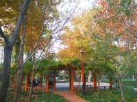 安丘市人民公園。