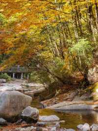 巴中秋日限定｜3天深度遊玩攻略。