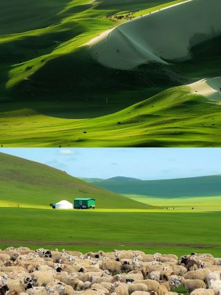 Hulunbuir Grassland - The wind is free.