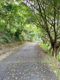 廣州增城區太子坑森林公園|這觀賞日落勝地你不會還不知道吧。