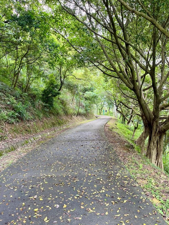 廣州增城區太子坑森林公園|這觀賞日落勝地你不會還不知道吧。